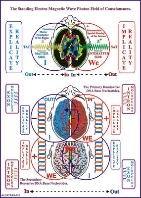 Las Constelaciones Familiares de Bert Hellinger y su relación con la Teoría de los Campos Morfogenéticos de Rupert Sheldrake