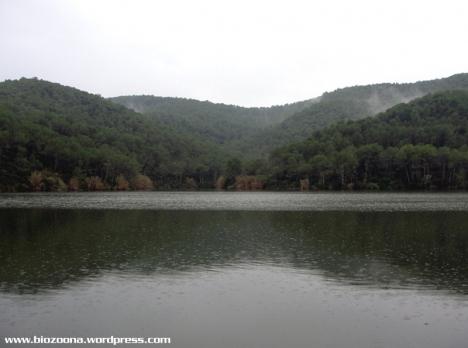 El Pantano del Foix.