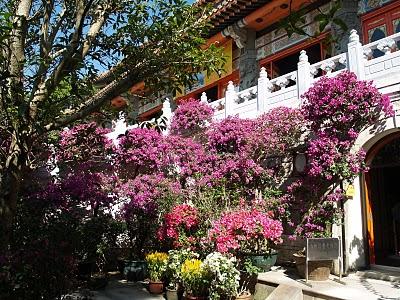 Islas Exteriores: Lantau y Cheung Chau