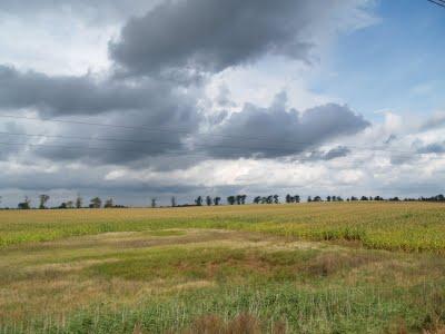 Torun, la ciudad de Copérnico