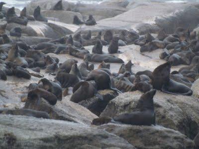 Una vuelta por el Cabo