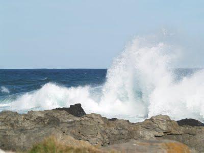 Parque Nacional Tsitsikamma