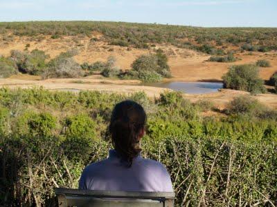 Parque Nacional Addo