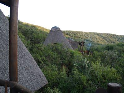 Parque Nacional Addo