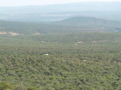 Parque Nacional Addo
