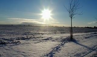 Las otras y antiguas navidades