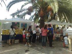 Día del Celíaco en Málaga