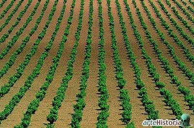 Cata comparativa de tres tintos Navarros.