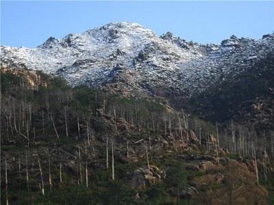 Año de nieves...