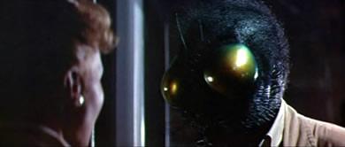 Pesadilla doméstica