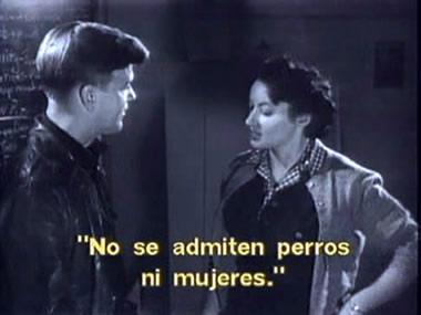 Un muerto que no para de nacer Un muerto que no para de nacer