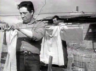 Un muerto que no para de nacer Un muerto que no para de nacer