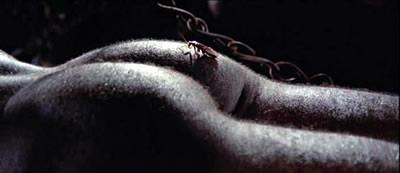 Postales de época Postales de época