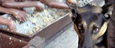 Postales de época Postales de época