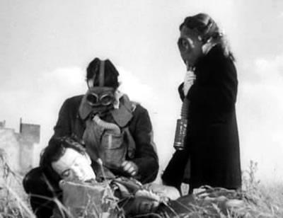 “Se lo advertí, estúpidos”