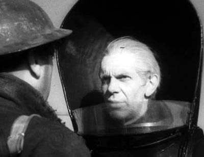 “Se lo advertí, estúpidos”