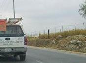 vacas pueblo sian escapau, riau