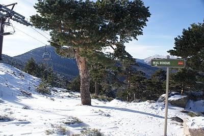 RUTA DE SIETE PICOS (SIERRA DE NAVACERRADA MADRID ESPAÑA)