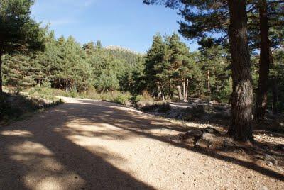 RUTA A LA MALICIOSA (NAVACERRADA,MADRID ,ESPAÑA)