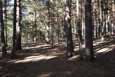 RUTA A LA MALICIOSA (NAVACERRADA,MADRID ,ESPAÑA)