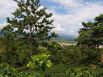 OROSI DE CARTAGO. 2º PARTE. COSTA RICA. EPISODIO DECIMOQUINTO