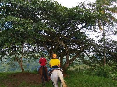 OROSI DE CARTAGO. 2º PARTE. COSTA RICA. EPISODIO DECIMOQUINTO