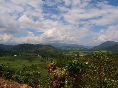 OROSI DE CARTAGO. 2º PARTE. COSTA RICA. EPISODIO DECIMOQUINTO