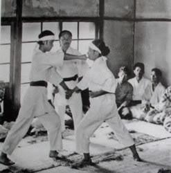 EL DOJO 