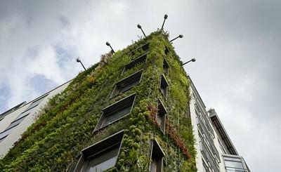 athenaeum Hotel Athenaeum, un jardín elevado hacia el cielo