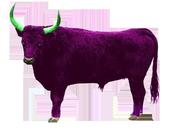 Toros, Ovejas Becerros
