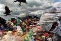Los Niños de la Basura Navideña