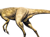 Pelecanimimus