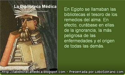 Ratón de biblioteca: Manual de supervivencia del joven médico de familia