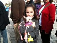 El día de San Antón