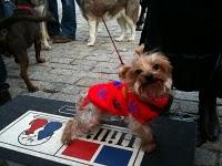 El día de San Antón