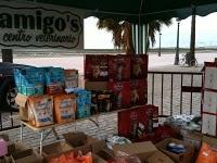 El día de San Antón