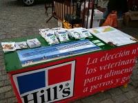 El día de San Antón