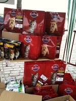 El día de San Antón