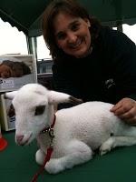 El día de San Antón