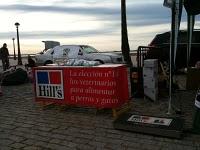 El día de San Antón