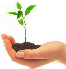 168.-Nuevo curso escolar