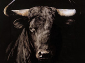 ¿Adaptar tauromaquia tiempos?