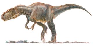 Megalosaurus