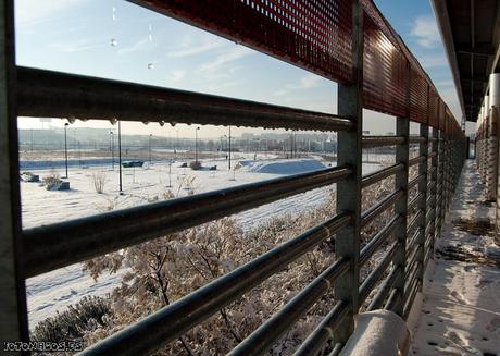 Foto La aventura de ir al trabajo el día de la nevada en Madrid