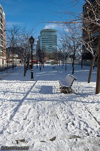 Foto La aventura de ir al trabajo el día de la nevada en Madrid