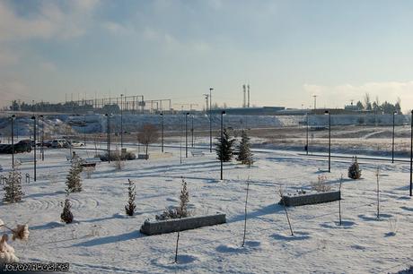 Foto La aventura de ir al trabajo el día de la nevada en Madrid