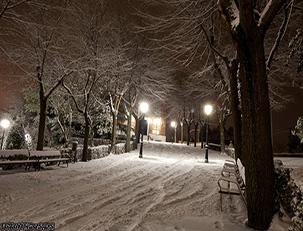 Fotos de la Nevada de Enero de 2010 en Moraleja de Enmedio