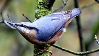 OTOÑO EN EL VALLE DE LA ULTZAMA
