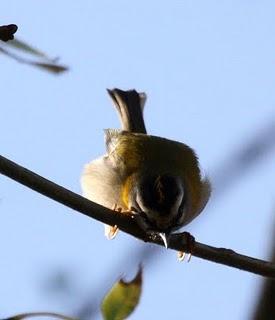 OTOÑO EN EL VALLE DE LA ULTZAMA