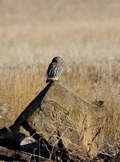 LAGUNA DE PITILLAS 2ª DIA-NAVARRA